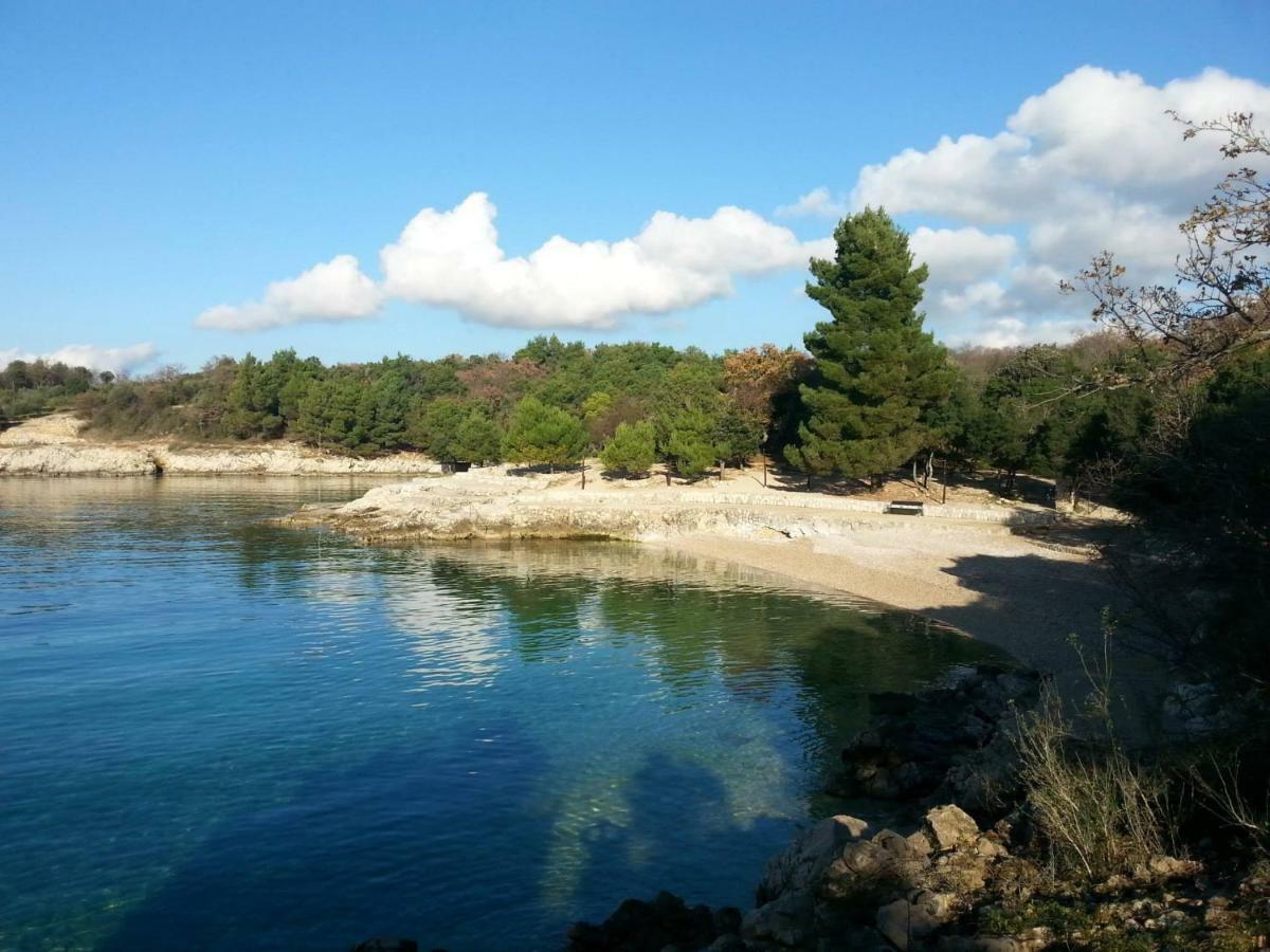 Vesna Apartment Pinezici (Krk)